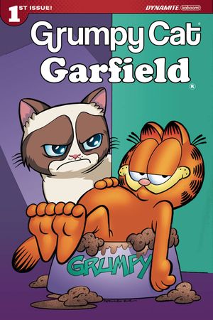 Grumpy Cat Garfield #1 (Cover C Ruiz)