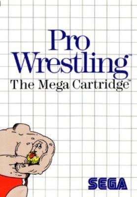 Pro Wrestling Video Game