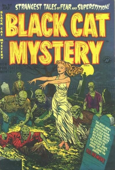 Black Cat Comics #37 Comic