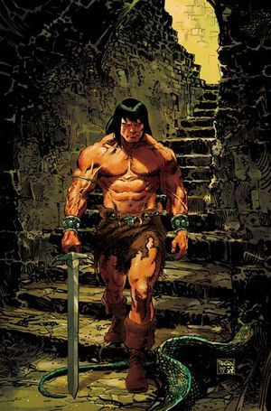 Conan: The Barbarian #24 (Cvr D Dan Panosian Foil Virgin Variant)