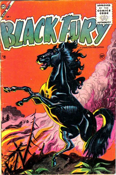 Black Fury #1 Comic