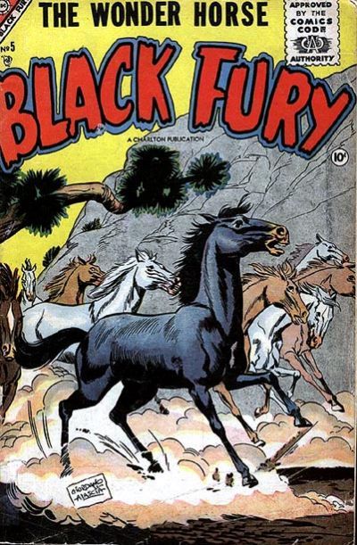 Black Fury #5 Comic