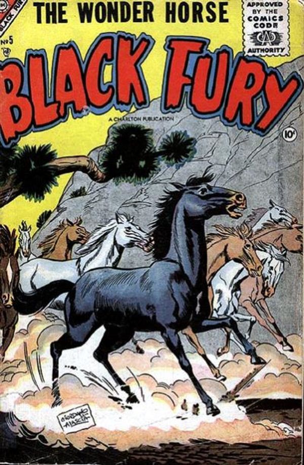 Black Fury #5