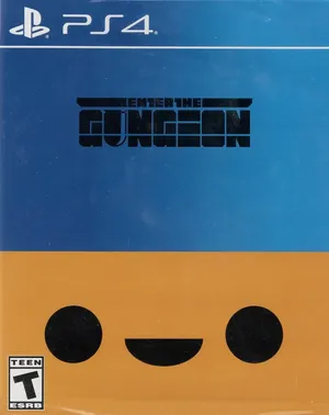 Enter the Gungeon
