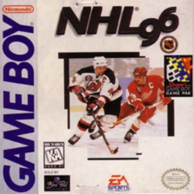 NHL '96 Video Game