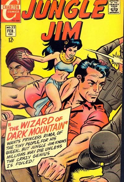 Jungle Jim #22 Comic