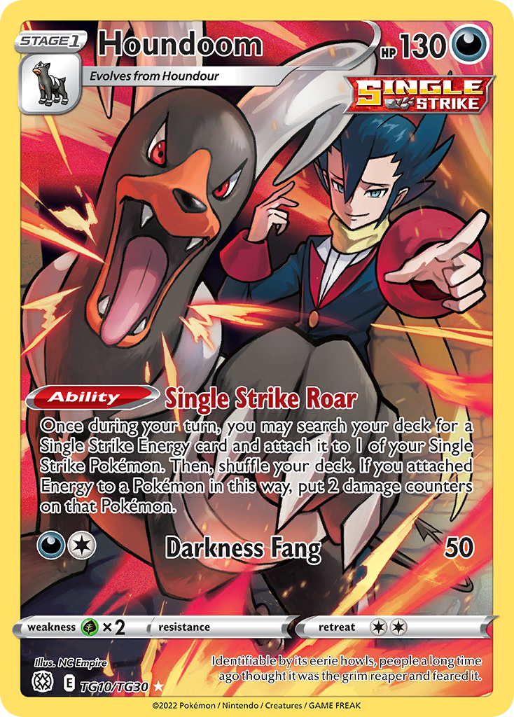 Houndoom (TG10) - Brilliant Stars Trainer Gallery Pokémon Card