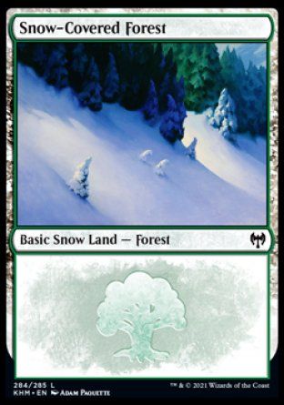 Snow-Covered Forest (Kaldheim) Trading Card