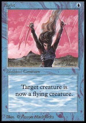 Flight (Beta)