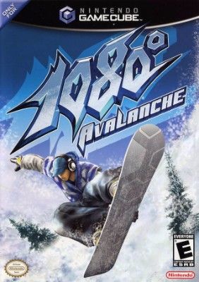 1080 Avalanche Video Game