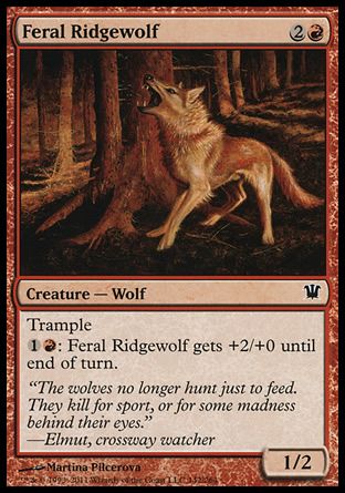 Feral Ridgewolf (Innistrad) Trading Card