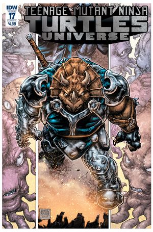 Teenage Mutant Ninja Turtles Universe #17