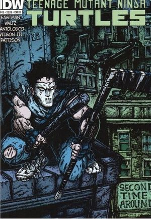 Teenage Mutant Ninja Turtles #45 (Eastman Casey Jones Variant)