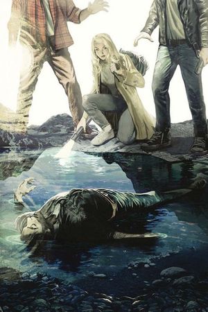 Nancy Drew and the Hardy Boys: The Big Lie #6 (Cover D 20 Copy Virgin Cover)