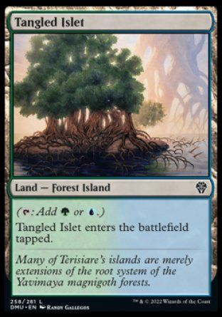 Tangled Islet (Dominaria United) Trading Card