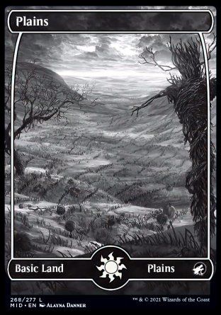 Plains (Innistrad: Midnight Hunt) Trading Card