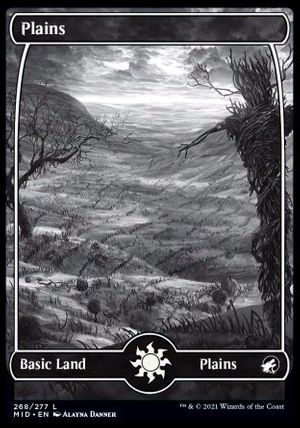 Plains (Innistrad: Midnight Hunt)