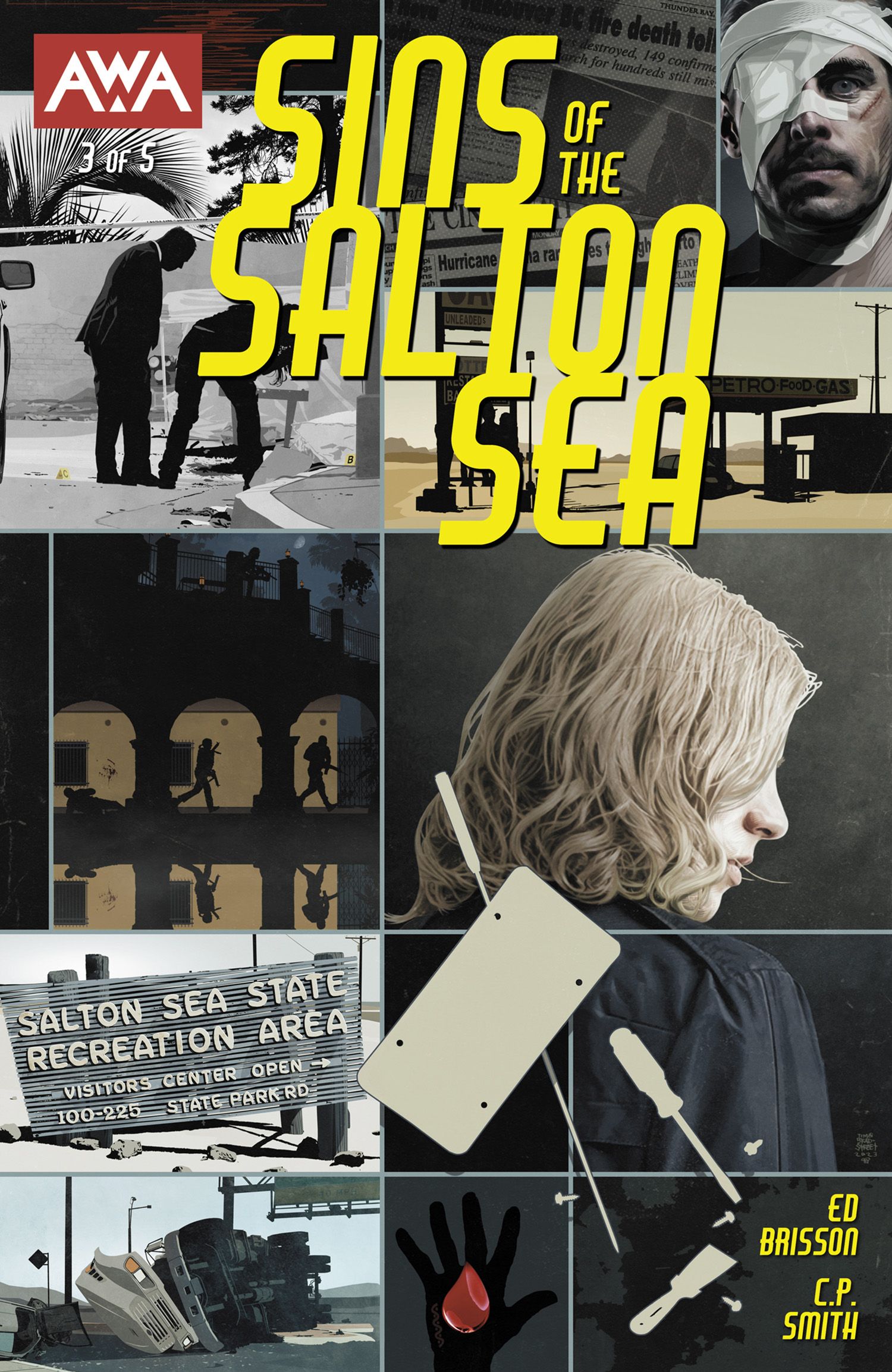 Sins of the Salton Sea #3 Comic