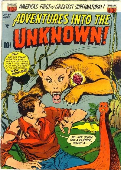 Adventures into the Unknown #44 Comic