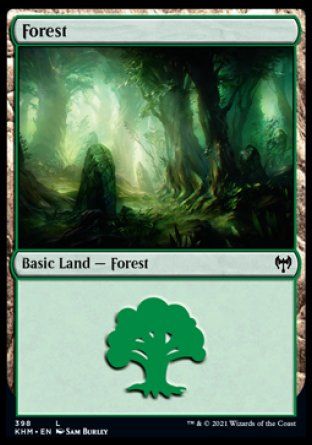 Forest (Kaldheim) Trading Card