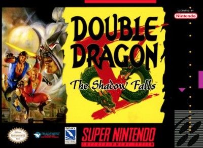 Double Dragon V: The Shadow Falls Video Game