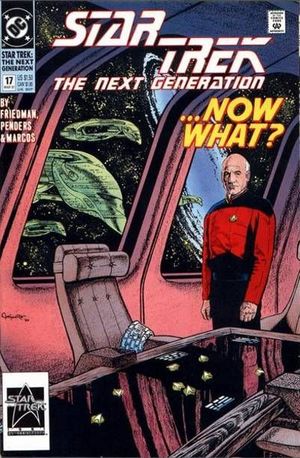 Star Trek: The Next Generation #17