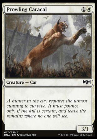 Prowling Caracal (Ravnica Allegiance) Trading Card