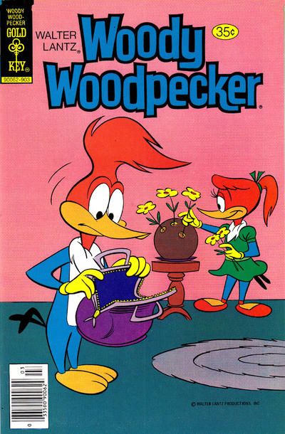 Walter Lantz Woody Woodpecker #176 Comic