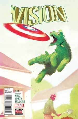 Vision #11