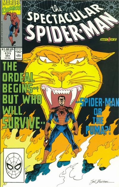 Spectacular Spider-Man #171 Comic
