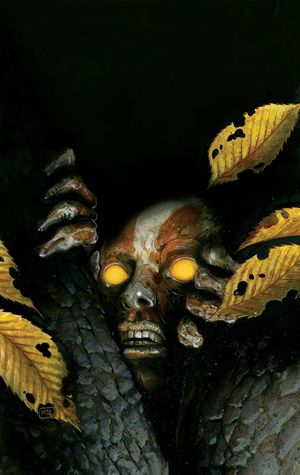 Harrow County #9