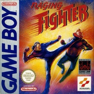 Raging Fighter Video Game