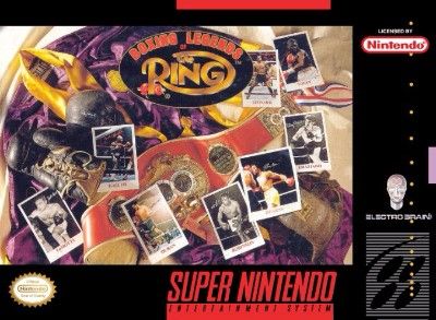 Boxing: Legends of the Ring Video Game