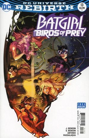 Batgirl & the Birds of Prey #13 (Variant Cover)
