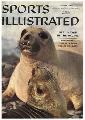 Sports Illustrated #v8 #5