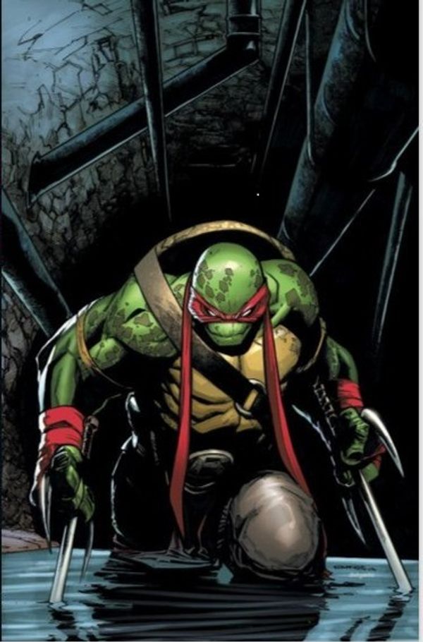 Teenage Mutant Ninja Turtles #75 (Ramos Variant Cover)