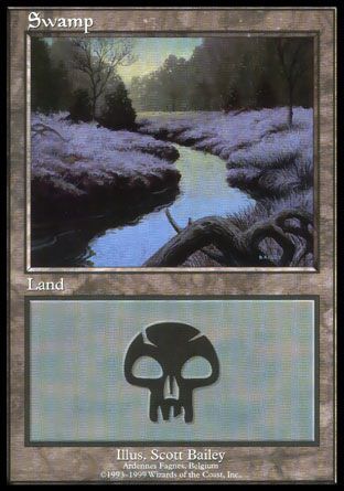 Swamp (Euro Lands) Trading Card