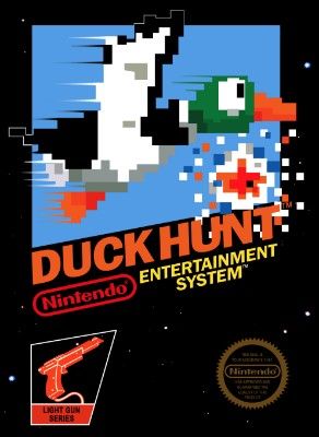 Duck Hunt Video Game