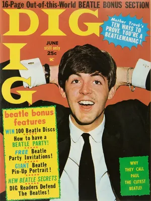 Dig Magazine #v11 #3