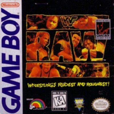 WWF Raw Video Game