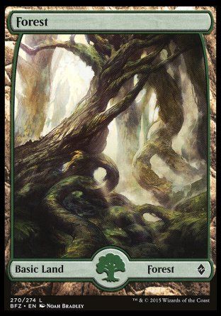 Forest (Battle for Zendikar) Trading Card