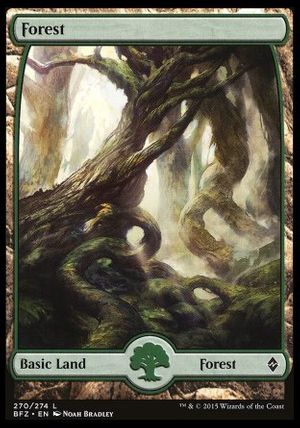 Forest (Battle for Zendikar)