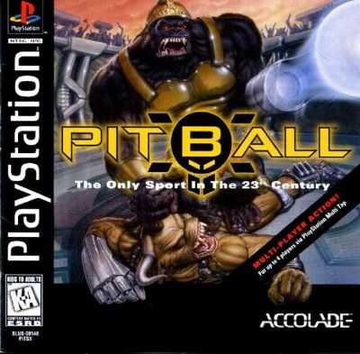 Pitball Video Game