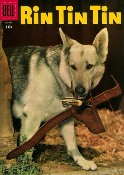 Rin Tin Tin and Rusty #11 Comic