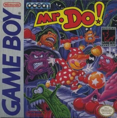 Mr. Do! Video Game