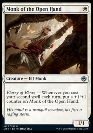 Monk of the Open Hand (Dungeons & Dragons: Adventures in the Forgotten Realms)