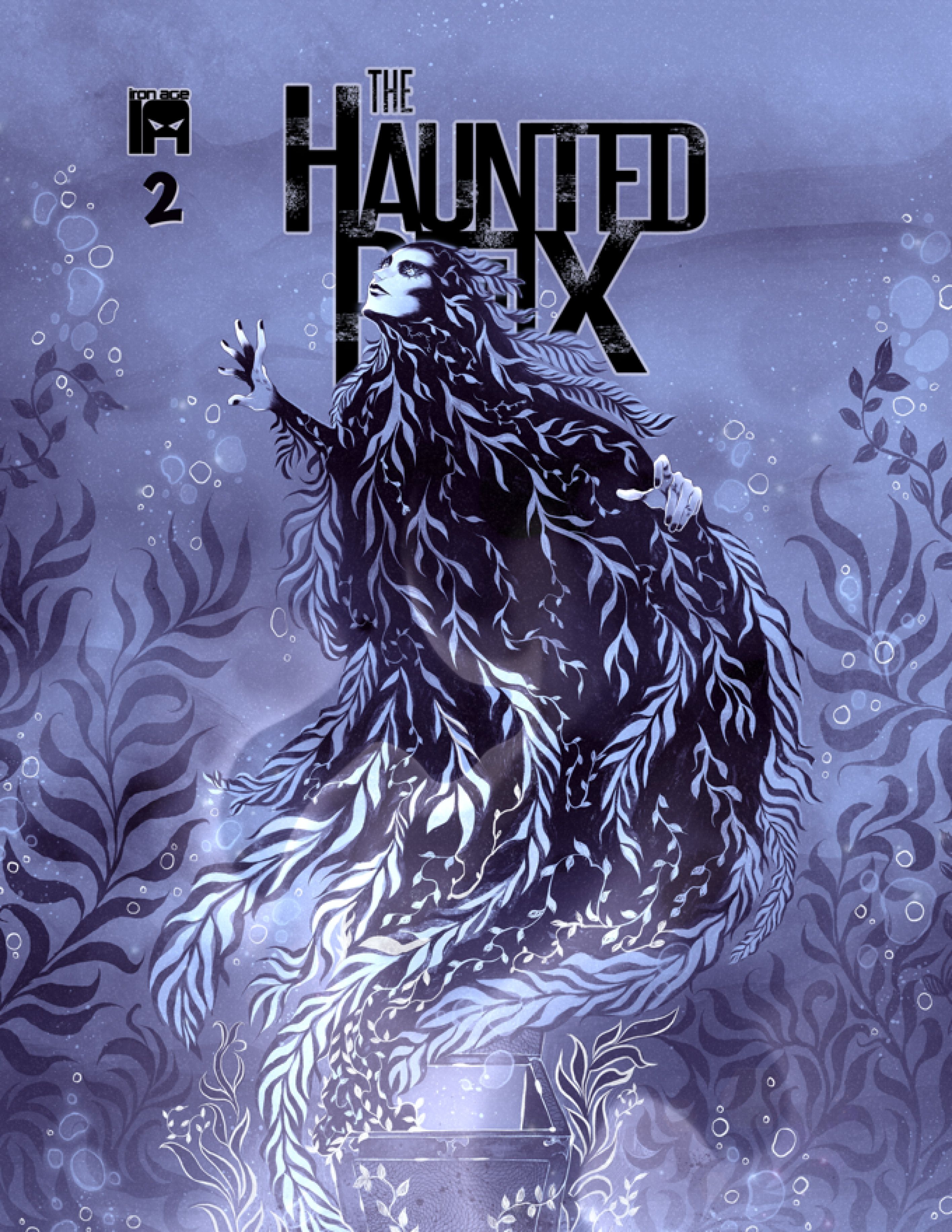 Haunted Box #2 (Cvr B Anna Wiesczcyk Variant) Comic