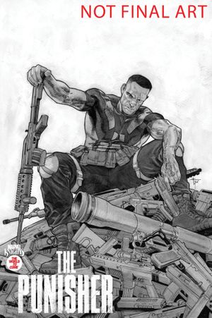 Marvel Knights: Punisher #2 (Francesco Mobili Variant)