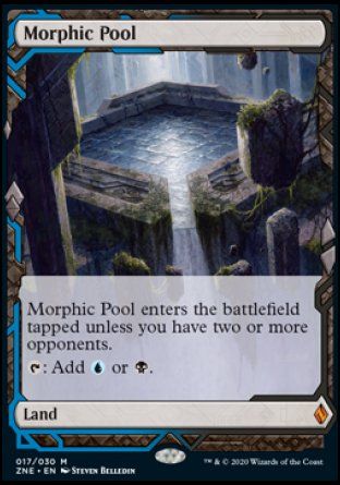 Morphic Pool (Zendikar Rising Expeditions) Trading Card