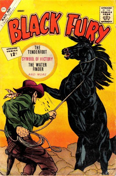 Black Fury #37 Comic